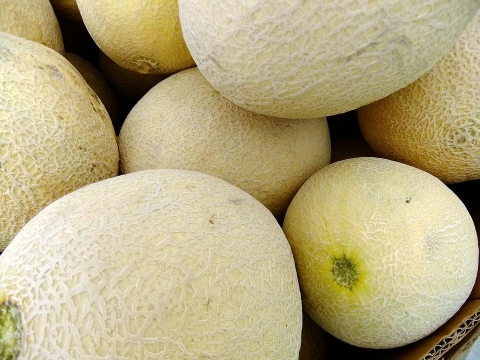 melons-65652_960_720_0.jpg